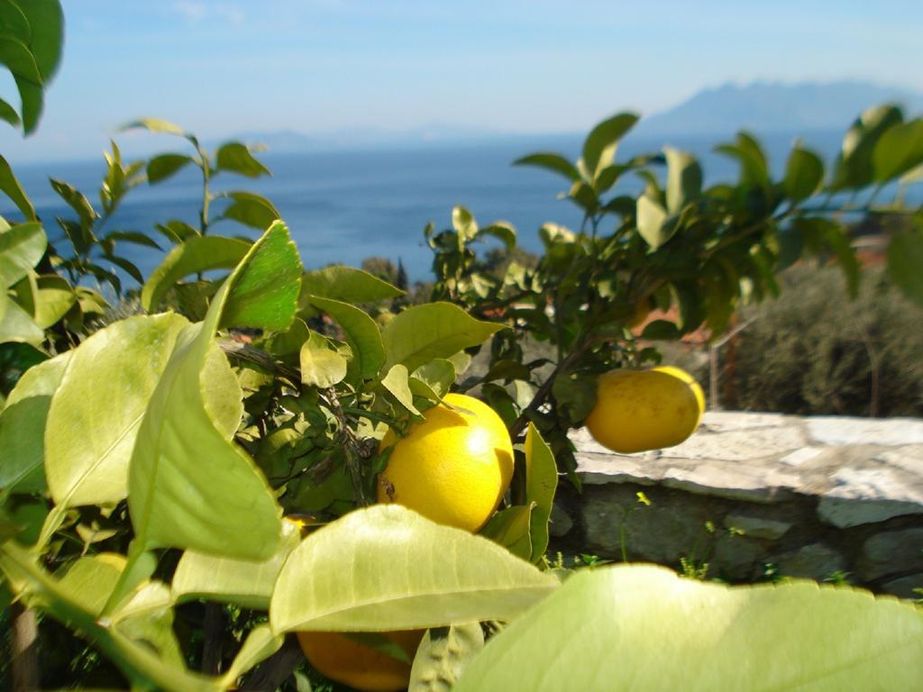 Апартаменты Athina Ecofarm Epidaurus Экстерьер фото